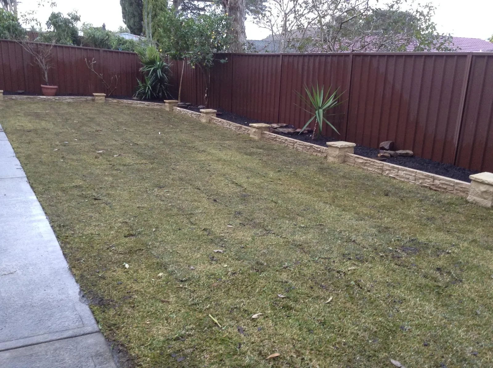 Coastal garden wall and paved pathway