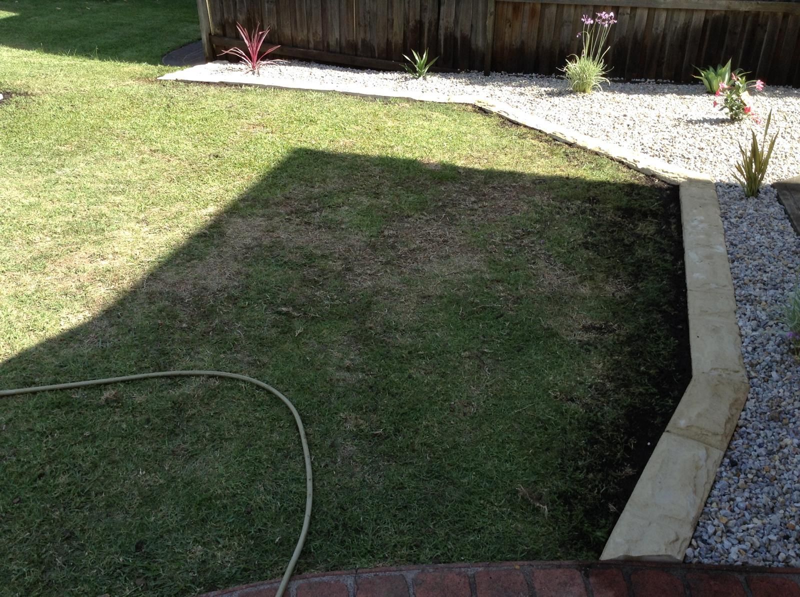Steve's Oasis Landscapes — 7679
