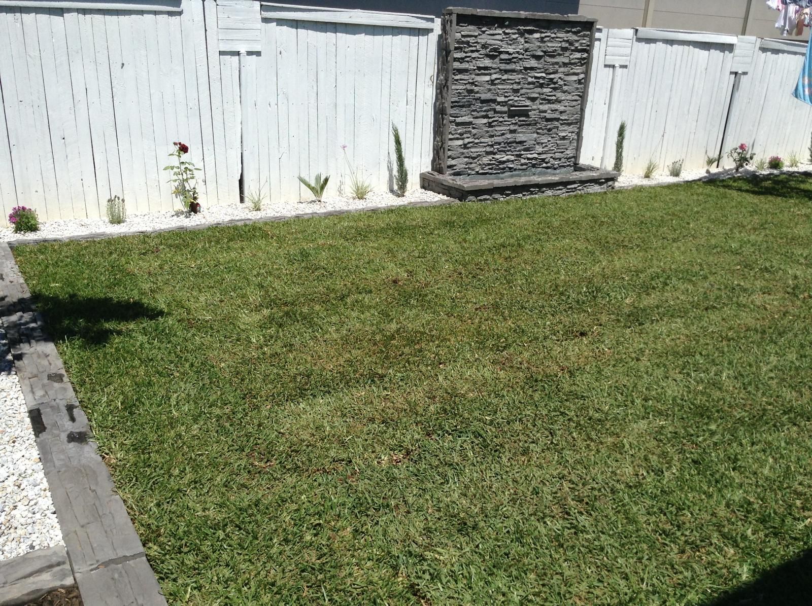 Steve's Oasis Landscapes — 7689