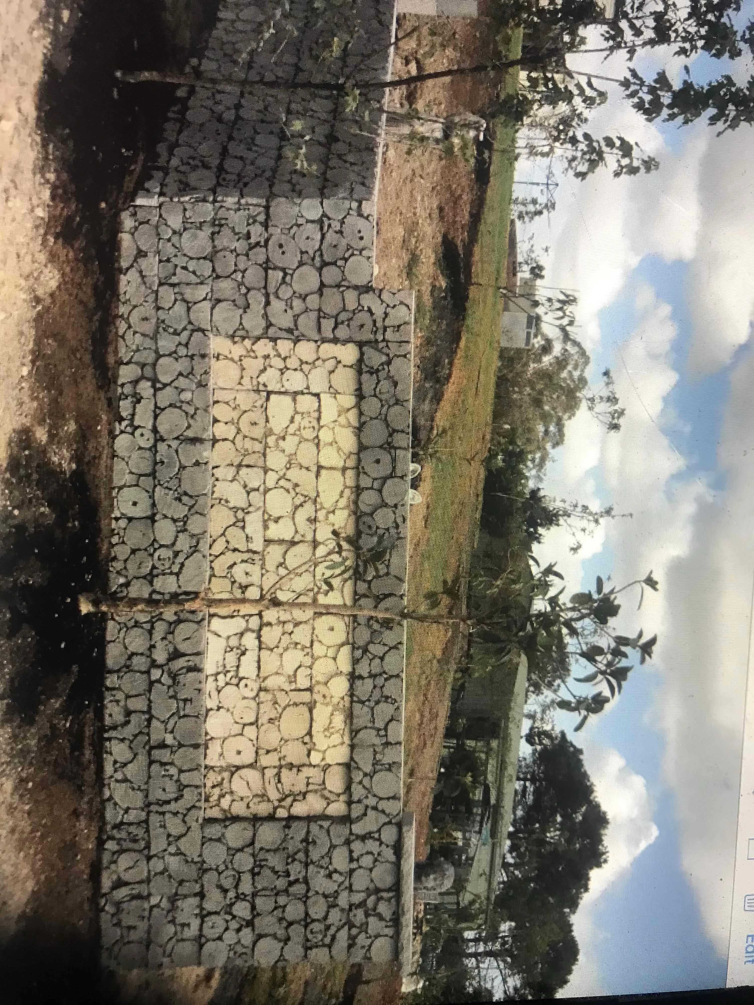 Steve's Oasis Landscapes project — hipages-076