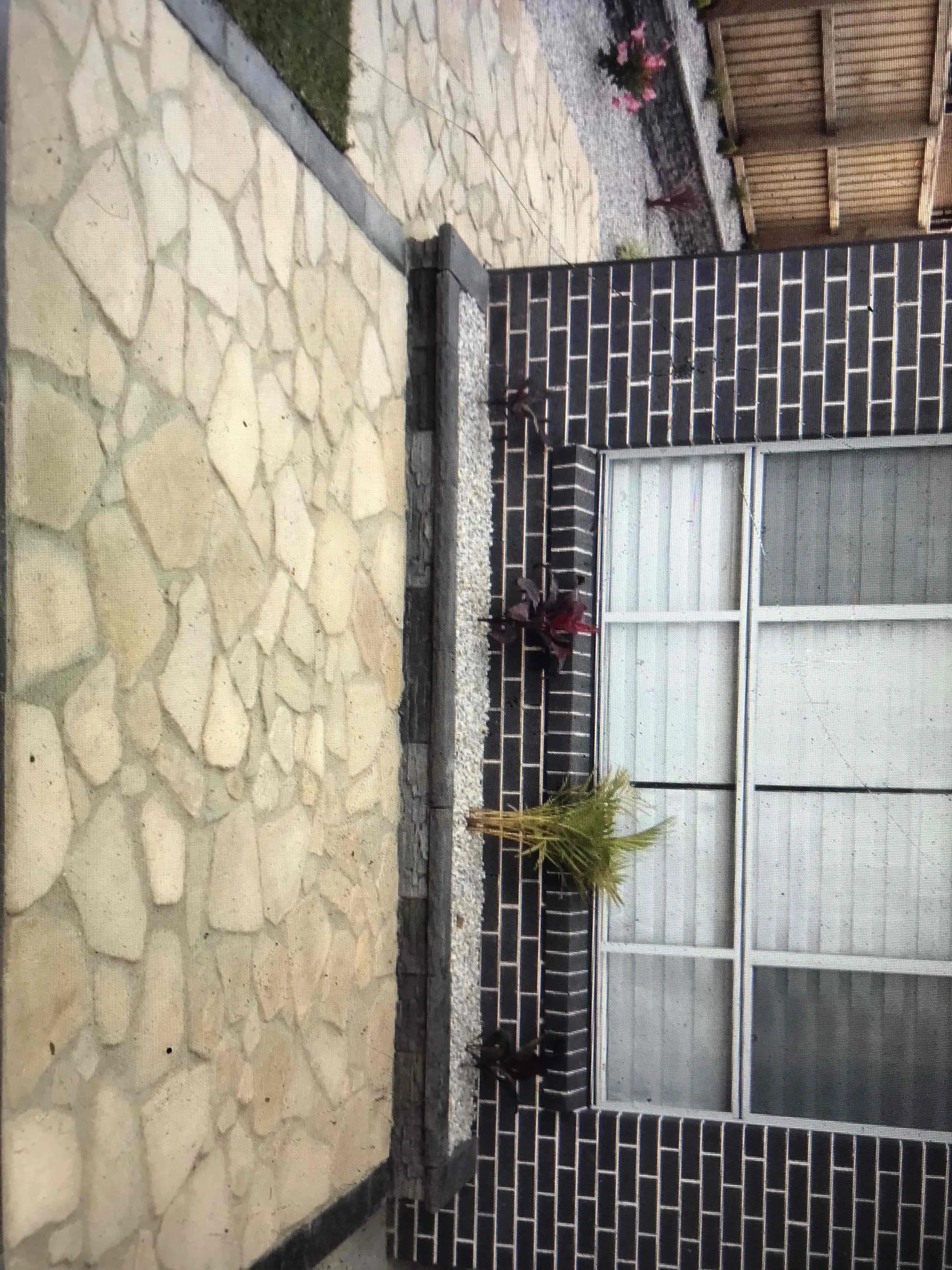 Steve's Oasis Landscapes project — hipages-078