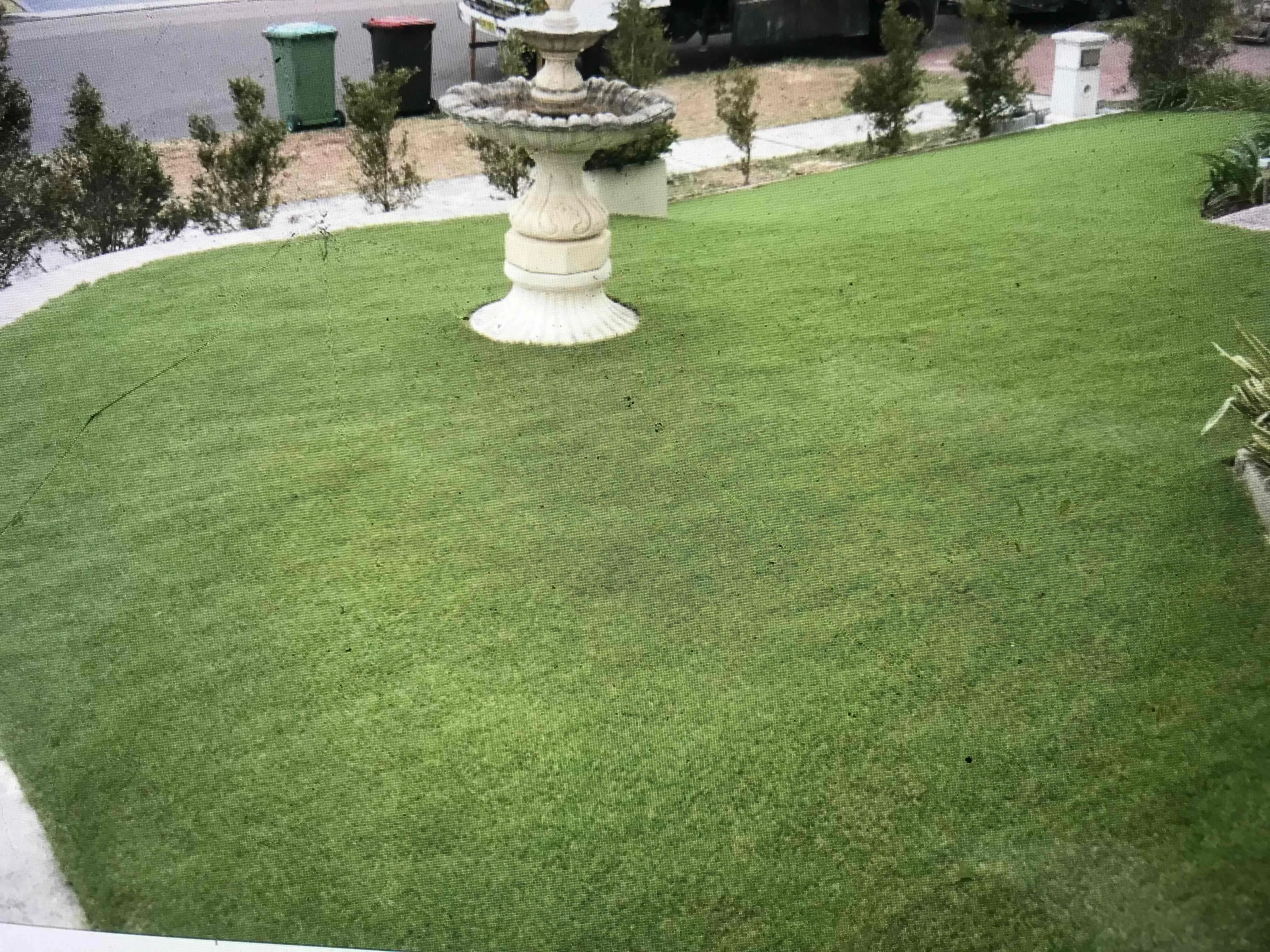Steve's Oasis Landscapes project — hipages-081