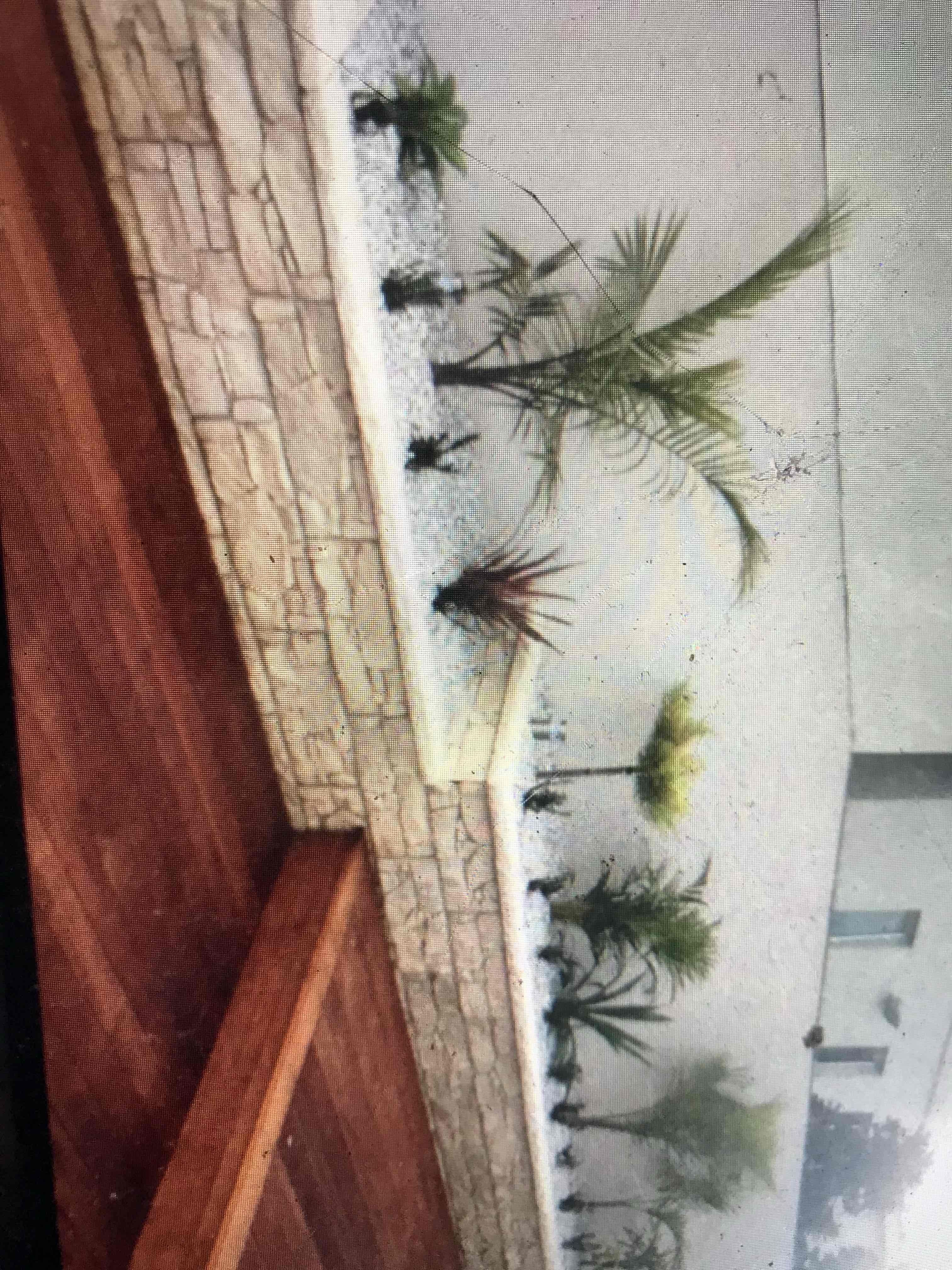Steve's Oasis Landscapes project — hipages-082