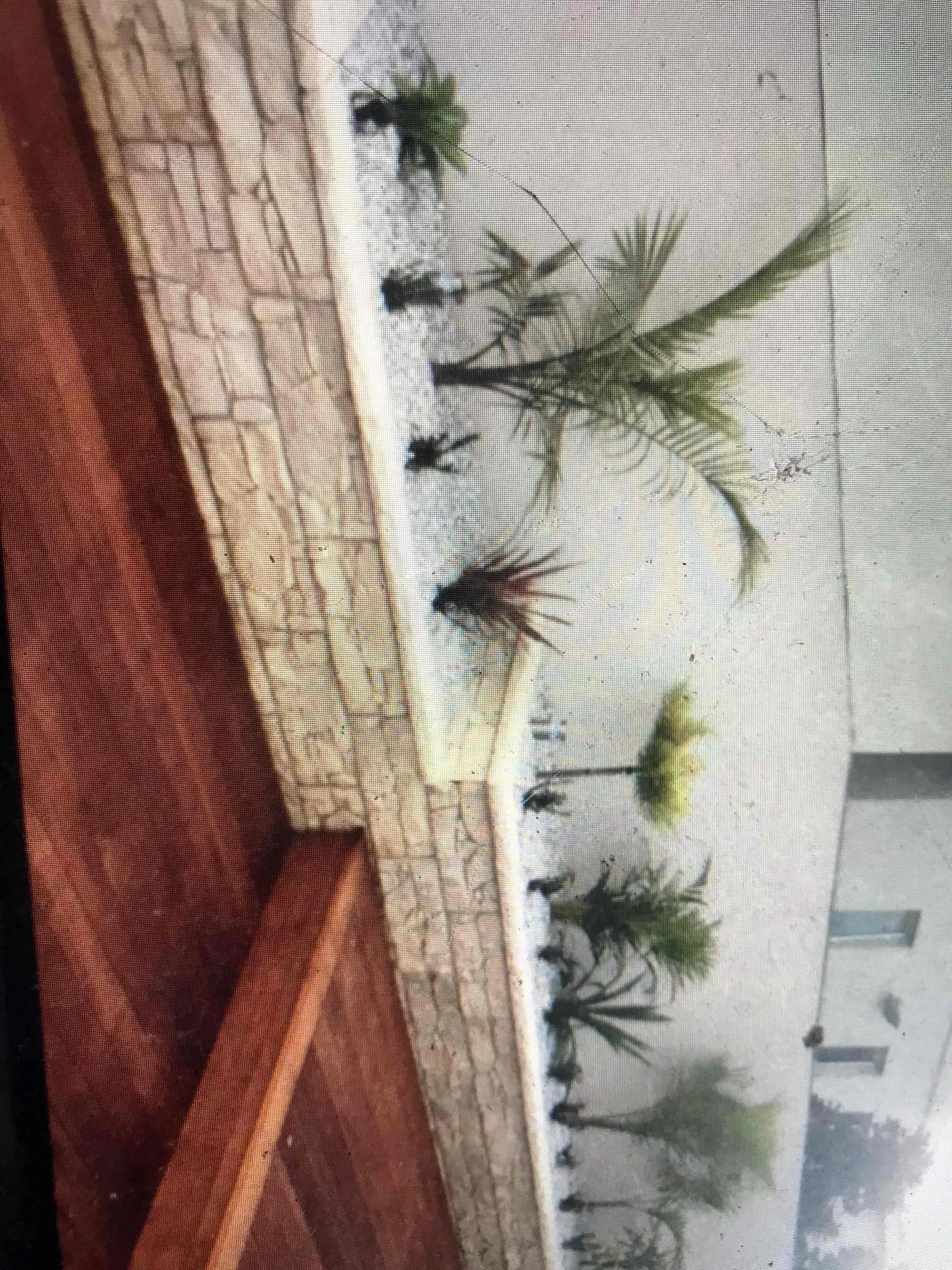 Steve's Oasis Landscapes project — hipages-082