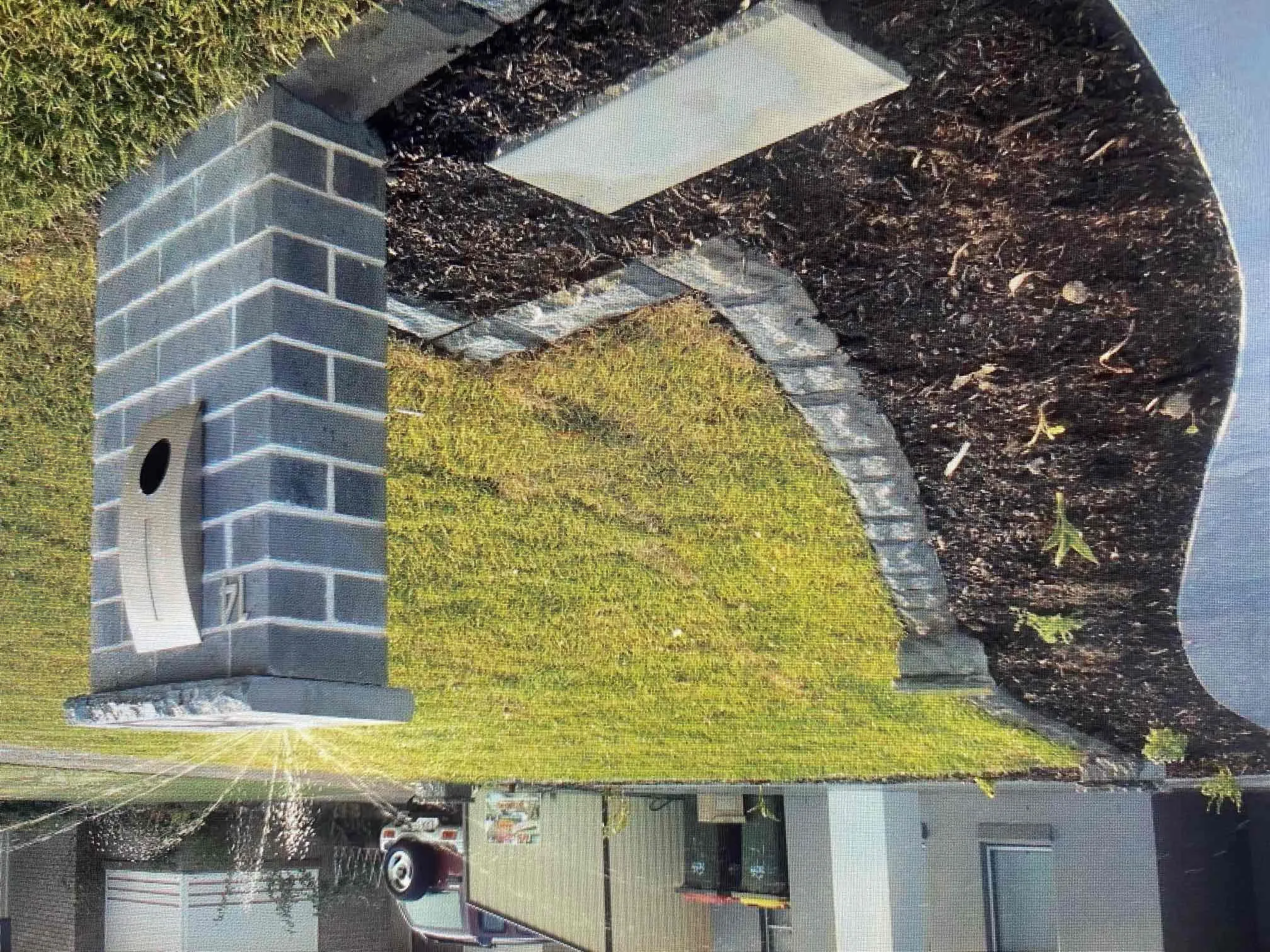 Steve's Oasis Landscapes project — hipages-110