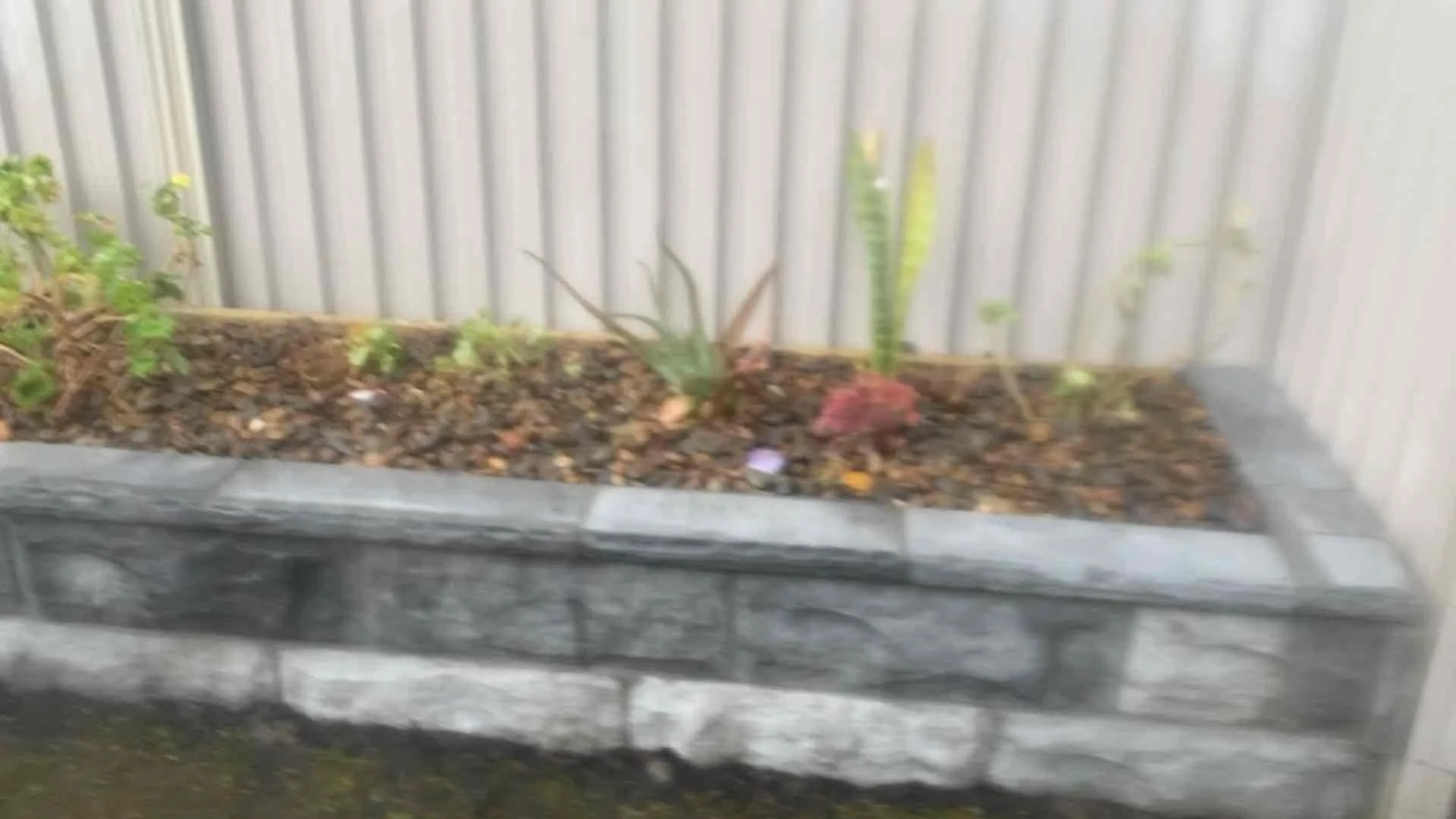 Steve's Oasis Landscapes project — hipages-147