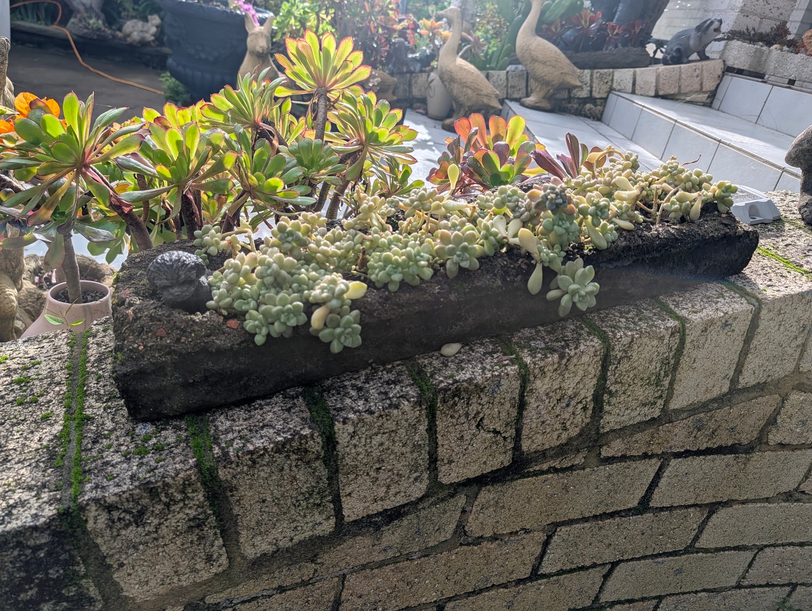Capping Planter — Steve-made product from Steve's Oasis Landscapes
