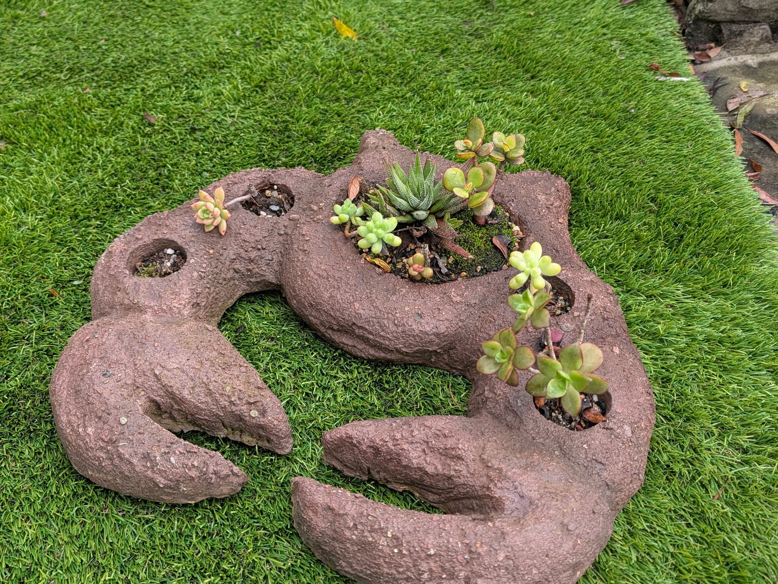 Crab Pot — Steve-made landscape product from Steve's Oasis Landscapes