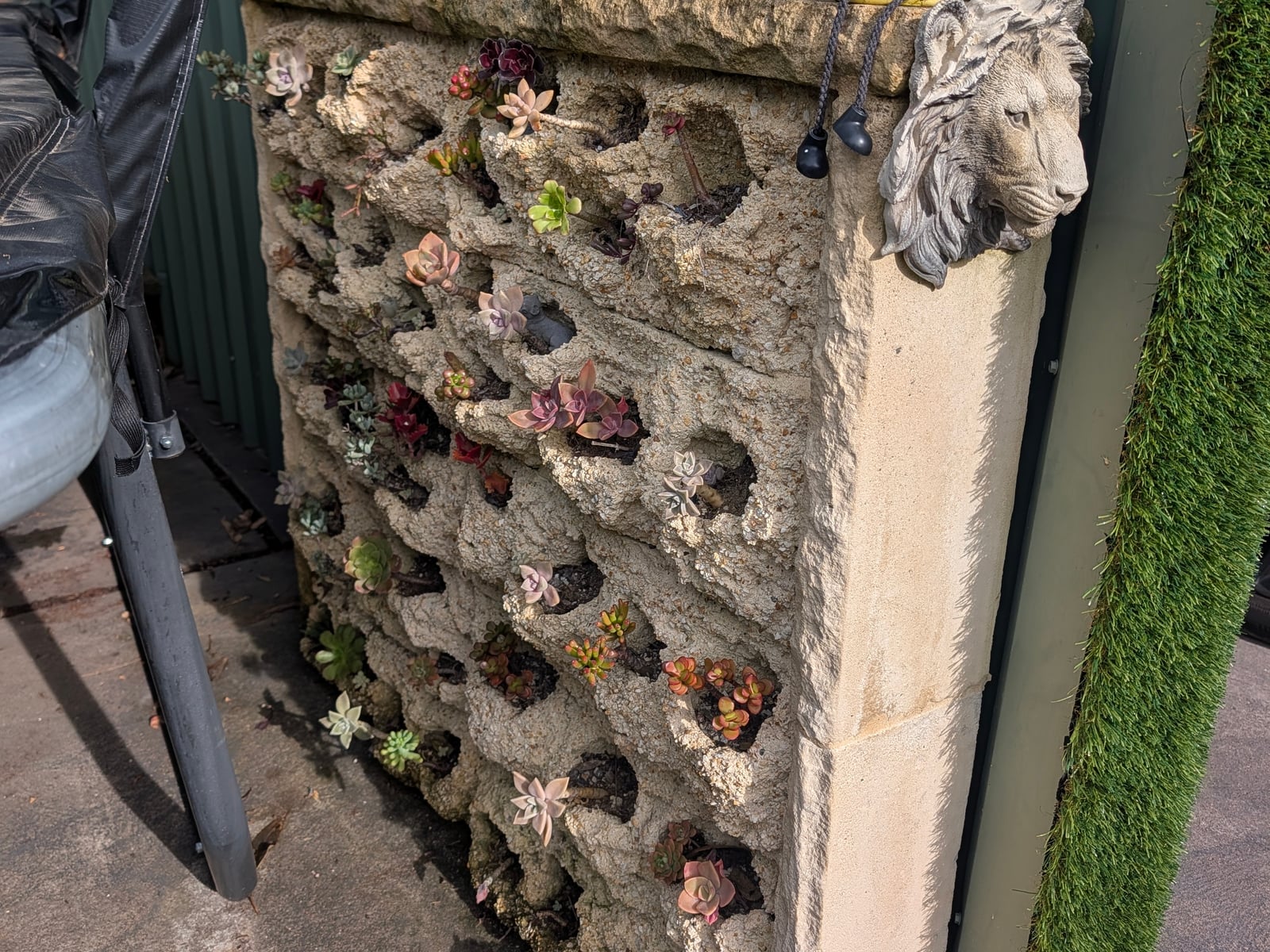 Succulent/Cactus Structural Planting Wall — Steve-made landscape product from Steve's Oasis Landscapes
