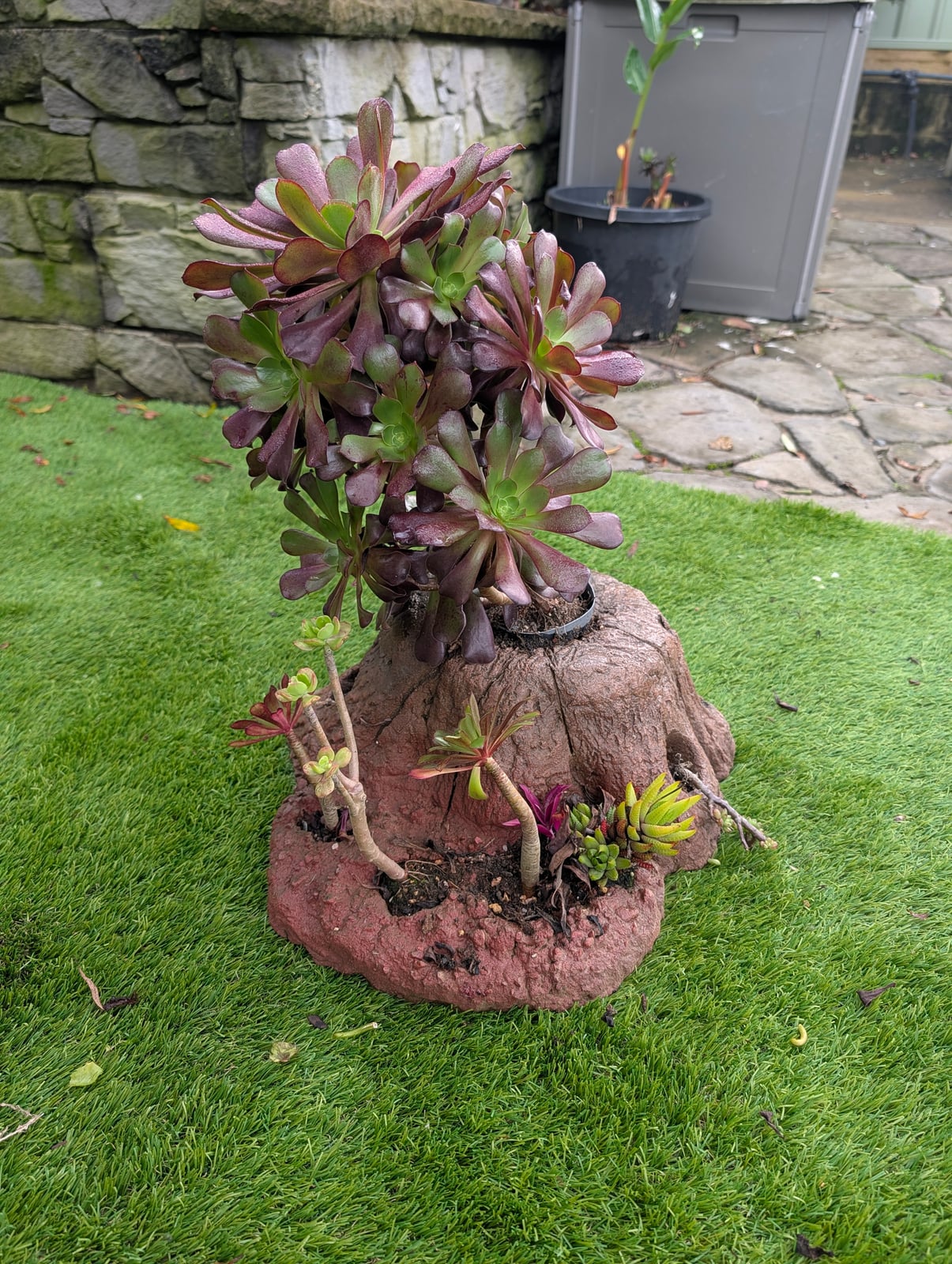 Tree Stump Pot — Steve-made product from Steve's Oasis Landscapes