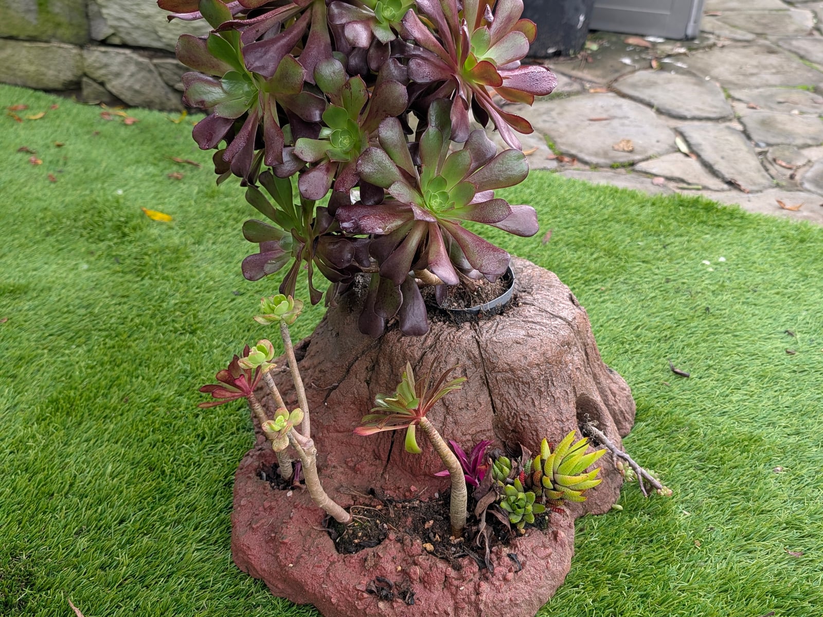 Tree Stump Pot image 1