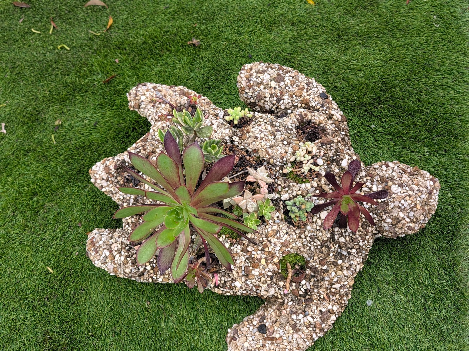 Turtle Pot image 1