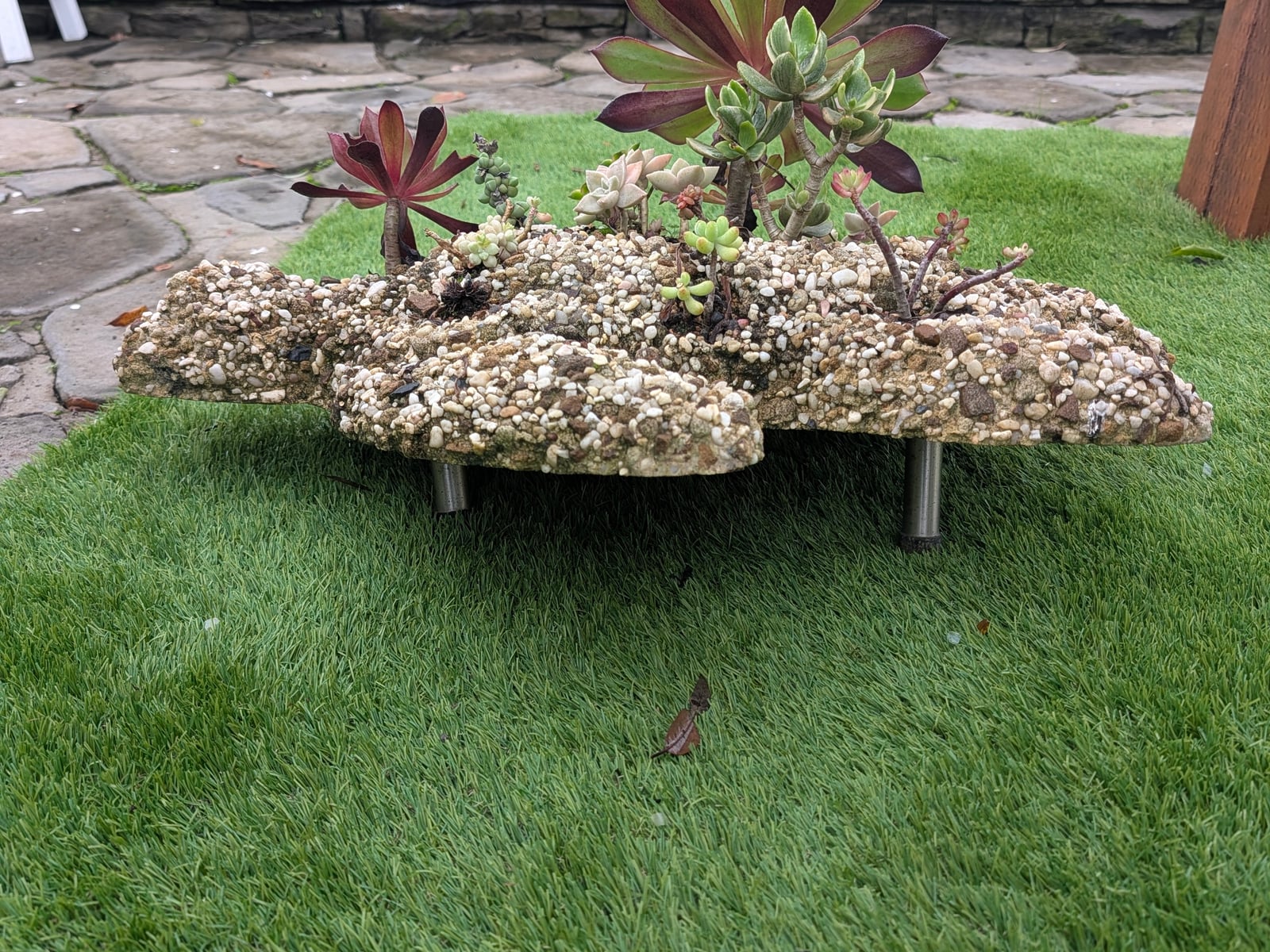 Turtle Pot image 2